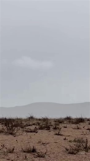 Devon Live on Instagram: "Dartmouth Coastguard and Royal Navy safely detonate unexploded ordnance washed up on Strete Gate Beach"