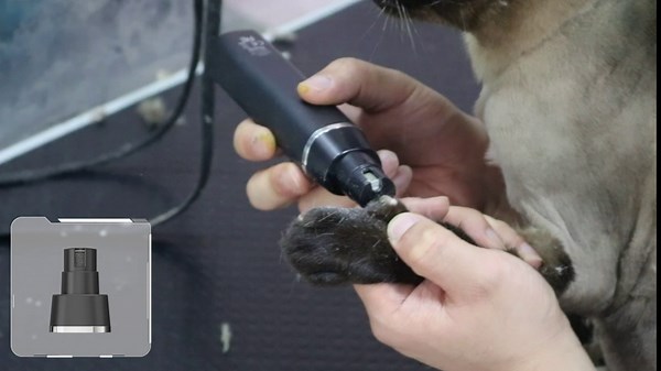 Dog Grooming Kit, 4 in 1 Pet Clippers 7000 RPM Titanium Blades Low Noise 800 mAh Rechargeable Cordless Electric Quiet Hair Clippers Set for Dogs Cats Pets