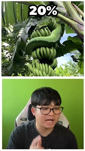 เจองูที่ไหน อันตรายที่สุด #short #memeไทย #memes #meme #พากย์นรก #พากย์ไทยอ่านมีมฮาๆ
