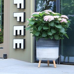 [Hot Item] Elegant Chinese Style Large Outdoor Planters with Wooden Legs