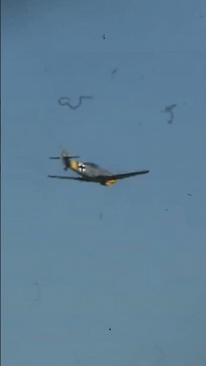 Adolf Galland - An exceptional German fighter ace #history #ww2 #ww2stories #aviation