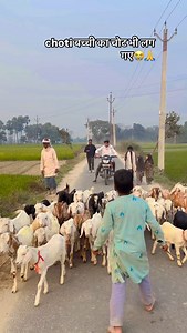 16K views · 3.2K reactions | बच्ची ke कारण गिर पड़े#love #reels | Surya Bhai | Facebook