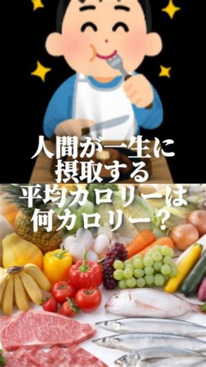 人間が一生に摂取ふる平均カロリーは何カロリー？