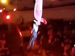 Horrific moment acrobat falls to the ground after circus stunt fails
