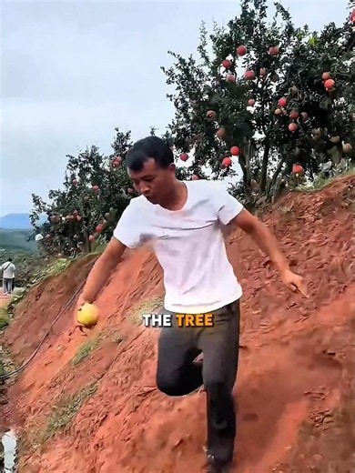 The Easiest Way to Peel a Pomegranate