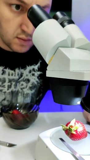 Strawberry 🍓 testing under microscope 🔬 #microscopy #science #experiment #microscope #scienceisfun | Mir Glazami Microscopa