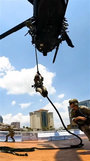 Helicopter Bubble Window