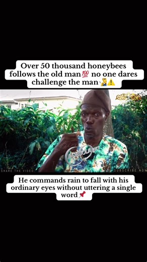 Old Man Commands Honeybees and Rain