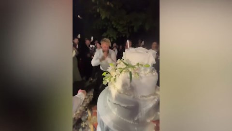 Professional boxer Jake Paul takes on his newest opponent at brother Logan's wedding