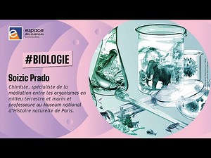 Conférence | Le dialogue chimique de la nature, source de bio-inspiration