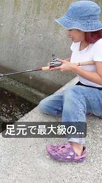 The moment a giant fish is easily caught from the embankment. #fishing #Marcos #mancing #fishing