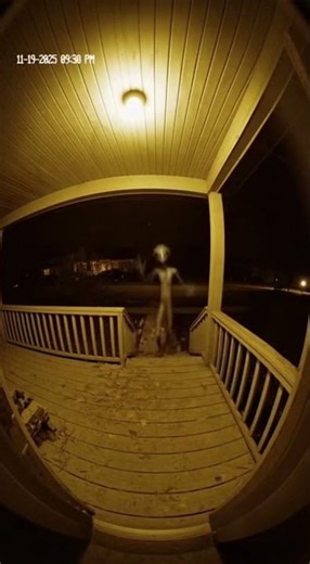 Alien Scared on Porch