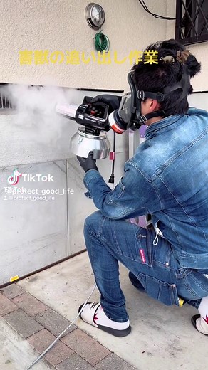 プロが行う害獣駆除【追い出し編】 #害獣駆除 #害虫駆除 #アライグマ駆除 #ネズミ駆除 #イタチ駆除 #タヌキ駆除 #ハチ駆除 #オオスズメバチ駆除 #トコジラミ駆除 #スモークマシーン