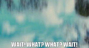 Wait! What? What? Wait!