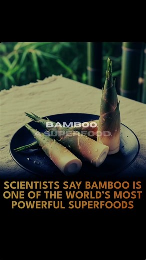 🌱 Bamboo Shoots: The Ancient Food Scientists Are Calling a Modern Superfood