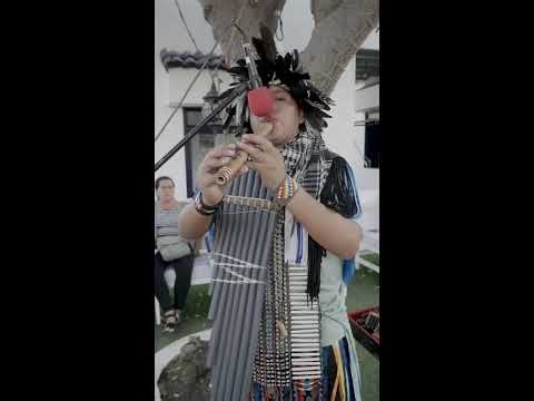 Andean Music | DAVIDMORALES SK - LIVE - STREAM 54