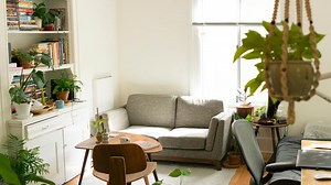 30 Jenis-Jenis Tanaman Hias yang Populer dan Cantik, Bikin Rumah Kian Nyaman