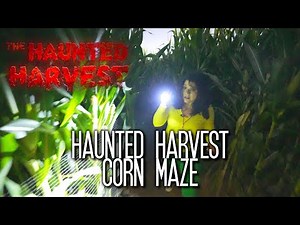 Haunted Harvest Corn Maze at Frosty's Pumpkin Patch - Chino, California
