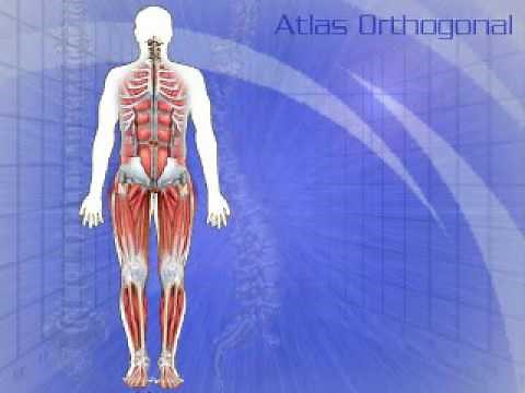The Atlas Orthogonal Chiropractic Procedure