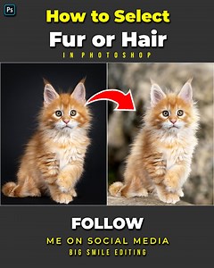 1.4M views · 16K reactions | How to perfectly select fur or animal hair in adobe photoshop | Big Smile Editing | Facebook