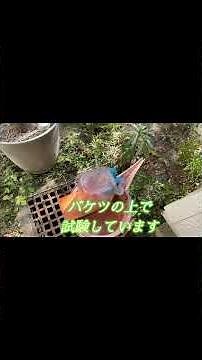 ミニ水車を作って水力発電の実験