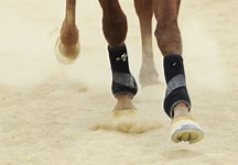 Civil Service Riding Club opens its doors to new members - Horse & Hound