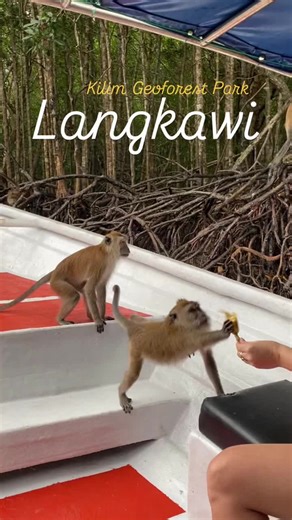 Explore Kilim Geoforest Park in Langkawi, Malaysia