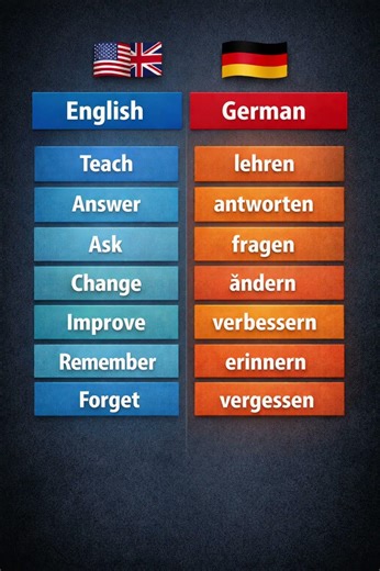 Learn 7 English Words in German 🇩🇪 Easy Vocabulary #Shorts