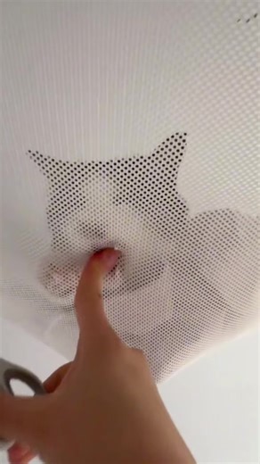 Guide to Clipping Your Cat’s Nails 💅 📖#cat #funny #catsoftiktok #usa #fyp