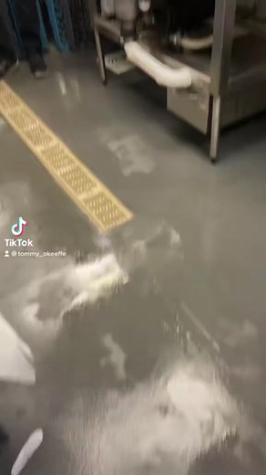 Cover Nation on TikTok