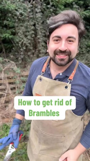 Brambles can be a nightmare for your garden if left untouched, so heres quick gardening tips for beginner gardeners on how to take care of them and remove them as best as possible to prevent them coming back. Weeding brambles can be intensive but it’s worth it #gardeningtips #gardeningforbeginners #brambles #weeding #planttips | Gardening with Ish
