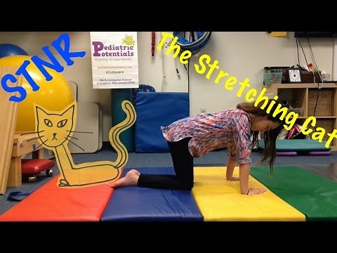 STNR Exercise: The Stretching Cat