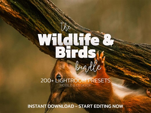 200  Wildlife & Birds Lightroom Presets Bundle – Mobile Desktop – Animals, Natural, Vibrant – Photo Filters - Etsy