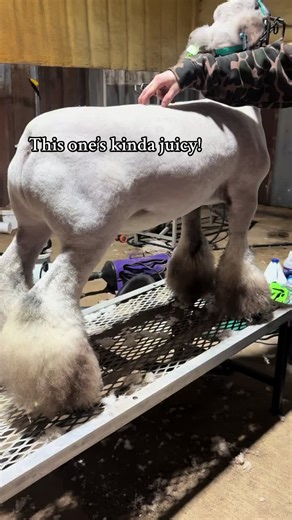 Unlock Your Winning Potential with Direct Messaging