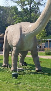 Something BIG is coming to John Ball Zoo! That roar you hear in the distance may sound a little different than the lion or tiger you normally hear during your visit. It’s a dinosaur! Over 20 life-size replica robotic dinosaurs are trampling into the Zoo. Join as we journey through the ages, uncovering how the traits of prehistoric dinosaurs have influenced the animals we see today. Dino Adventures officially begins tomorrow, Monday, July 15, and is included in your Zoo ticket. Come early, stay l