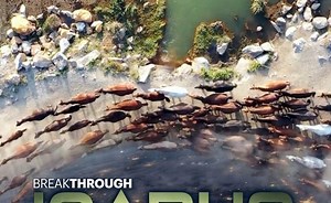 Sorry, we have encountered a problem. - Alexander Street, a ProQuest Company