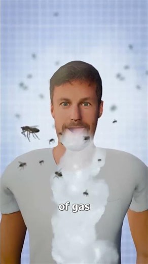 Did you know a ant go into your ear. #viral #ant #ear #facts #factworld #trending #feed