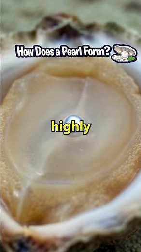 How Does a Pearl Form? 🦪