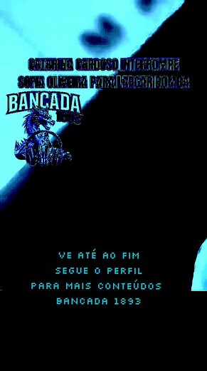 FC Porto campeão 2025/26: celebração, Sofia Oliveira e BANCADA 1893