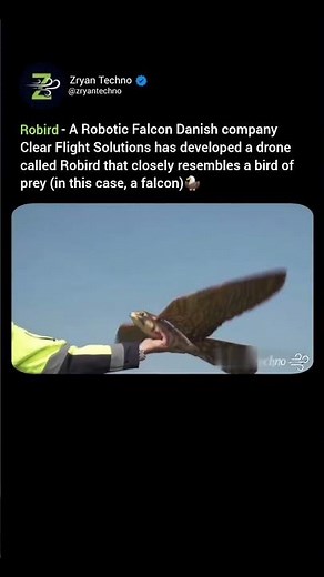 Meet the Robot Falcon 🦅 That Flies Like a Bird 🦅… and Looks Shockingly Real 😳🦅