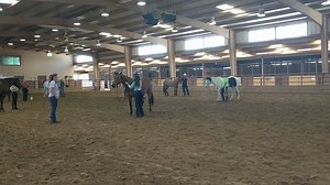 20K views · 33 reactions | Do you do groundwork exercises with your...