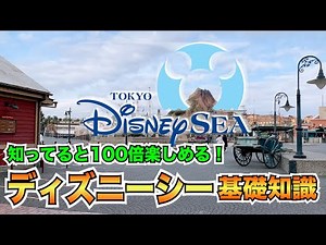【ディズニーゆっくり解説】初心者必見！知っていると100倍楽しめるTDS基礎知識