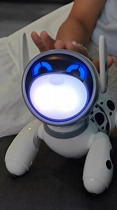 924 reactions · 22 shares | Lernen Sie JIGGO kennen, den niedlichen Roboterhund, der wackelt, zappelt und reagiert! Perfekt für Kinder, die Tanzen, Musik und endlosen Spaß lieben. Nehmen Sie JIGGO überallhin mit – er ist Ihr neuer verspielter Begleiter!  Erfahren Sie mehr unter: https://shorturl.at/E4M9W #Roboterhund #Robodog #Roboterhaustier #silverlitrobot | YCOO | Facebook