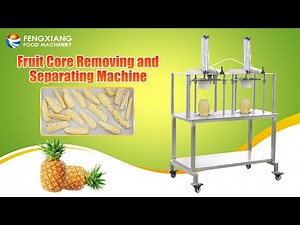 Pneumatic Pineapple Coring Separating Machine | Custom Fruit Wedge Cutter for Melon