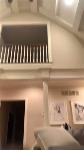 Can You Balance on a Couch Without Falling? 😂 Challenge!