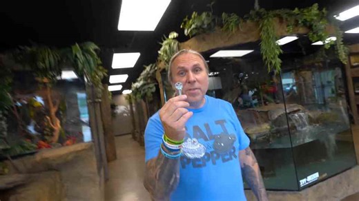 Why Could This Key Change My Life?