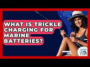 What Is Trickle Charging For Marine Batteries? - Chasing Big Fish