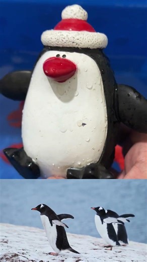 Amazing Ocean Animals for Kids 🌊 Learn Sea Creatures in 30 Seconds!