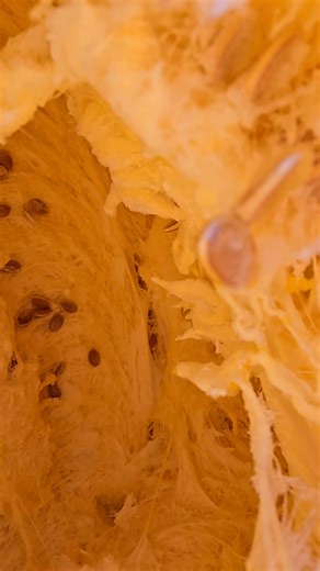 2.1K views · 24 reactions | Whats inside a Giant Pumpkin? | Moby Mike Pumpkins | Facebook