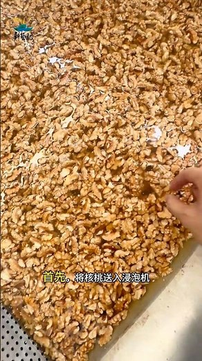 Walnut Wet Depulping Equipment, Walnut Processing & Production Line, Food Machinery #popcorn